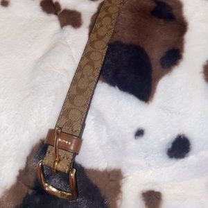 Coach Slim Brown Belt